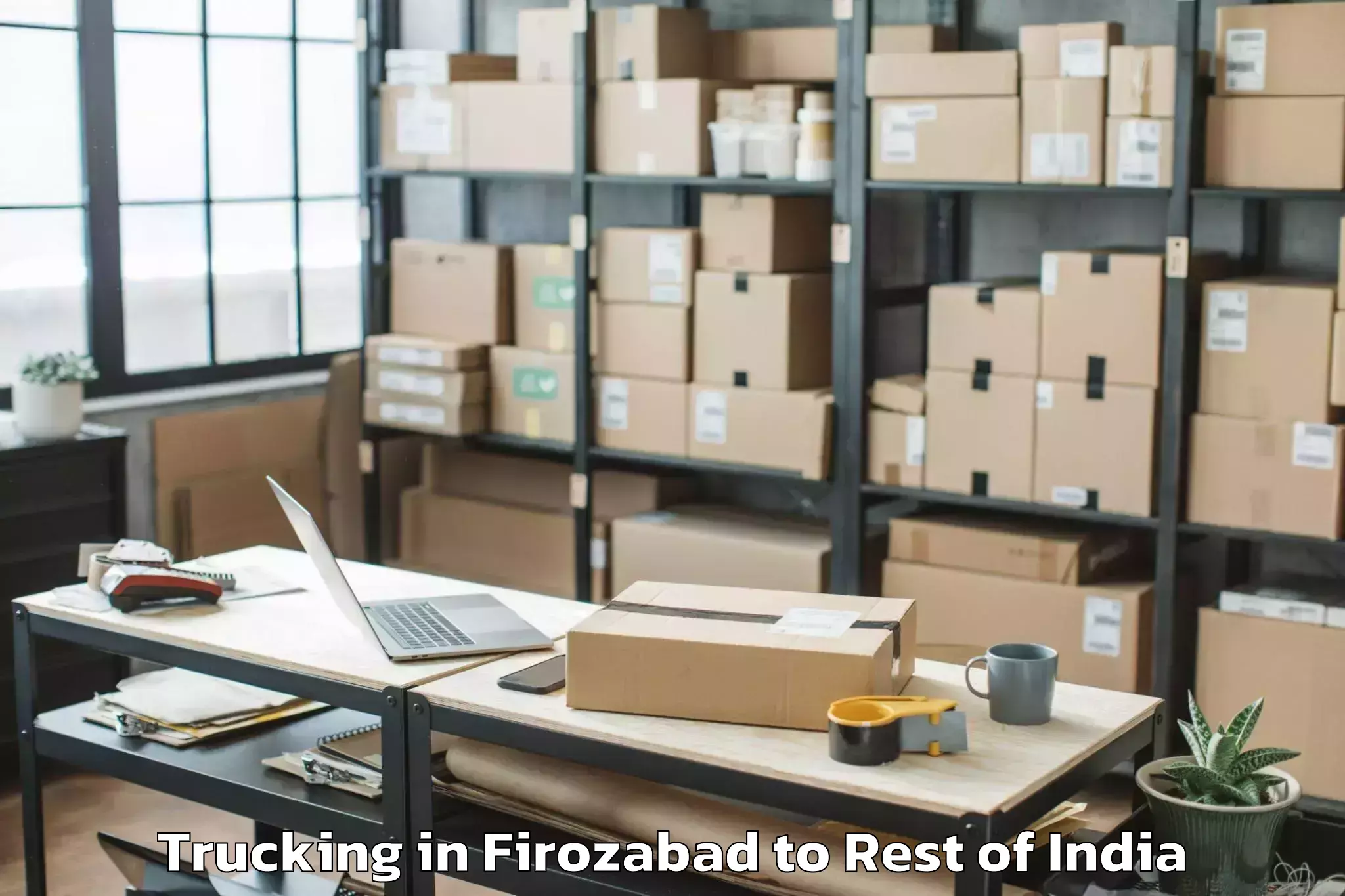 Leading Firozabad to Aali Trucking Provider